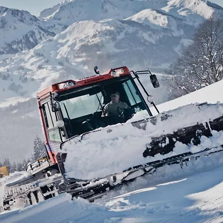 Neumayer Fieberbrunn