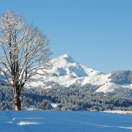 Neumayer Apartment *